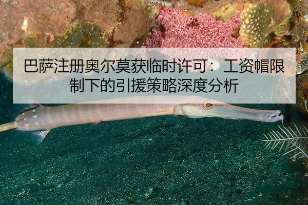 ba-sa-zhu-ce-ao-er-mo-huo-lin-shi-xu-ke-gong-zi-mao-xian-zhi-xia-de-yin-yuan-ce-lve-shen-du-fen-xi-2-323.jpg
