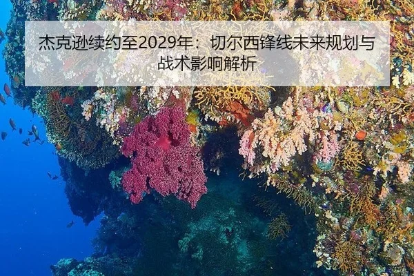 杰克逊续约至2029年：切尔西锋线未来规划与战术影响解析